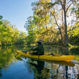 A kayaker in the calm morning light on the Silver River at Silver Springs State Park.
