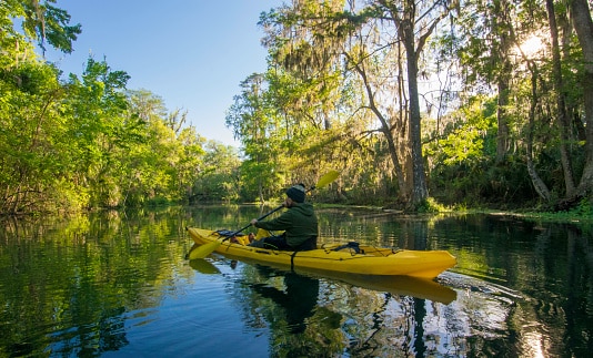 A kayaker in the calm morning light on the Silver River at Silver Springs State Park.